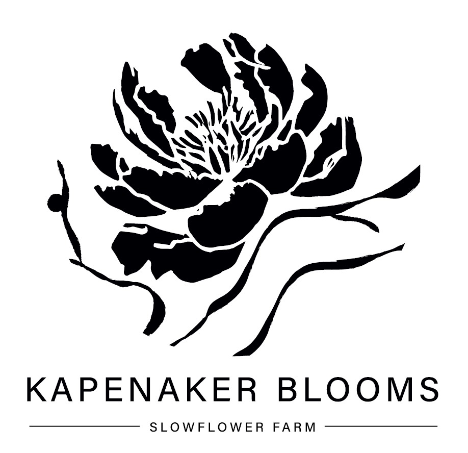 LOGO KAPENAKER BLOOMS