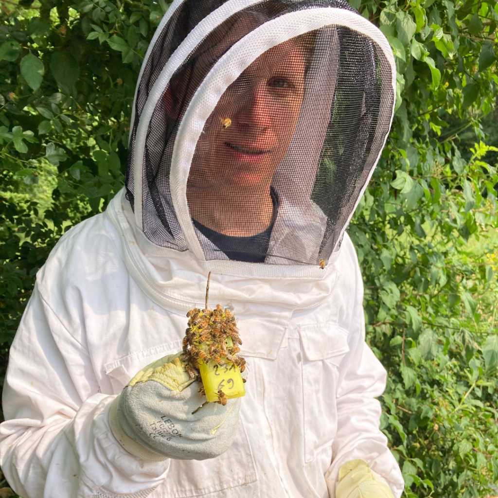 Goeffroy beekeeper luxembourg honapi